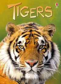Tigers фото книги