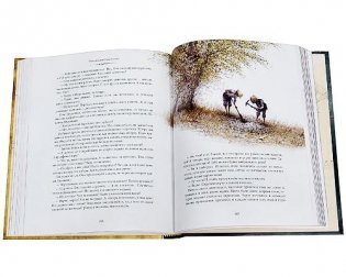 Приключения Тома Сойера фото книги 2
