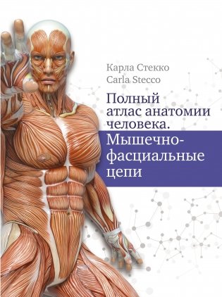 Полный атлас анатомии человека. Мышечно-фасциальные цепи фото книги