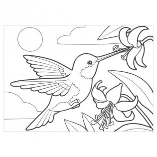 Раскраска по номерам "Птицы", А4, с восковыми мелками, 4 рисунка фото книги 7