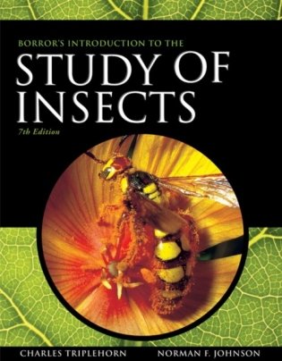 Borror&apos;s intro study of insects 7e фото книги