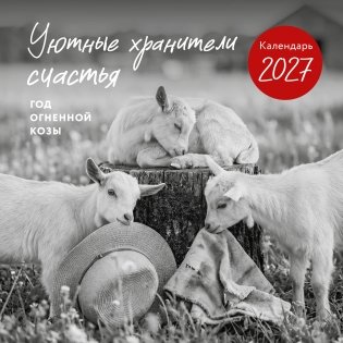Уютные хранители счастья. Год огненной козы/овцы. Календарь настенный на 2027 год (300х300 мм) фото книги