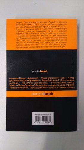 Котлован фото книги 2