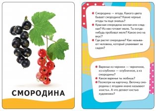 Развивающие карточки "Овощи, фрукты, ягоды" фото книги 2