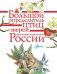 Большой определитель птиц, зверей, насекомых и растений России фото книги маленькое 3