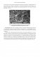 15 лекций об археологии Великого шелкового пути фото книги маленькое 11