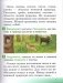 Человек и мир. 2 класс фото книги маленькое 6