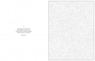 Mystery Coloring Wild Animals фото книги 5