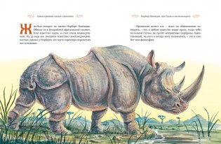 Самые красивые сказки о животных фото книги 7