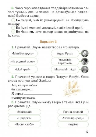 Літаратурнае чытанне. Тэматычны кантроль. 3 клас фото книги 7