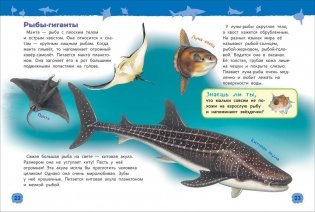 Подводный мир. Энциклопедия для детского сада фото книги 3