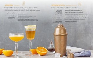 Практическая миксология. Девайсы. Техники. Ингредиенты фото книги 6