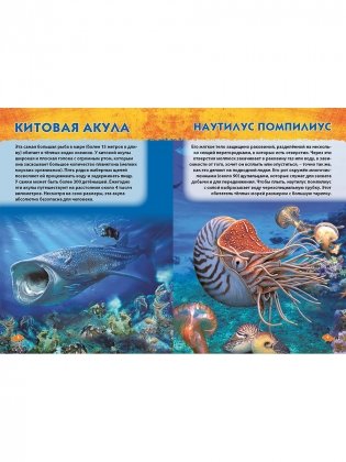 Подводный мир. Первая энциклопедия дошкольника фото книги 4