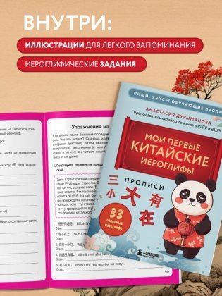 Прописи: мои первые китайские иероглифы фото книги 4