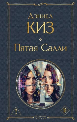 Пятая Салли фото книги
