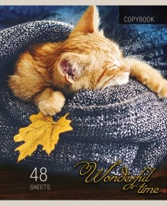 Тетрадь "Котята и пледы", А5, 48 листов, клетка фото книги 2