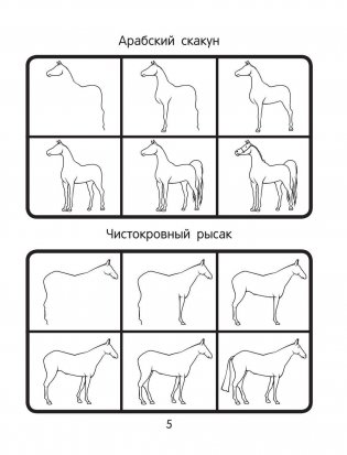 101 способ нарисовать лошадку! фото книги 5