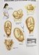 Анатомия человека: болезни и нарушения фото книги маленькое 8