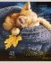 Тетрадь "Котята и пледы", А5, 48 листов, клетка фото книги маленькое 3