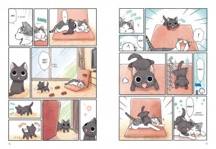 Сью и Тайчик. Книга 1 фото книги 2