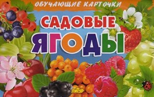 Садовые ягоды. Обучающие карточки фото книги