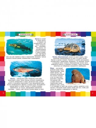 Удивительный подводный мир. Энциклопедия для малышей фото книги 6