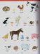 Ladybird Dictionary фото книги маленькое 11