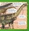 Динозавры фото книги маленькое 11