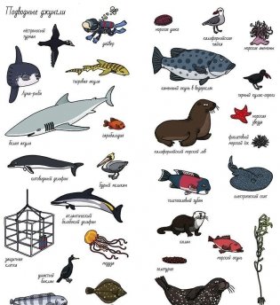 Океаны. Найди и покажи фото книги 4