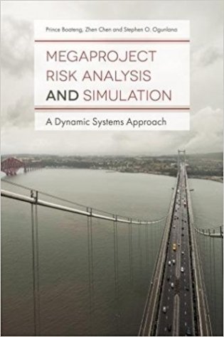 Megaproject Risk Analysis and Simulation: A Dynamic Systems Approach фото книги
