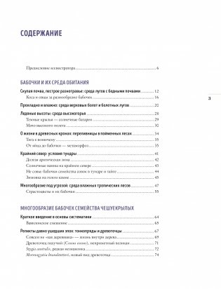 Бабочки. Основы систематики, среда обитания, жизненный цикл и магия совершенства фото книги 2