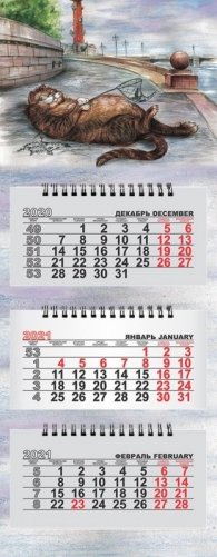 Календарь на 2021 год "Кот рыбак" (КР29-21018) фото книги