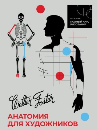 Анатомия для художников фото книги