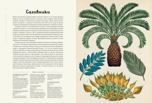Ботаникум фото книги 2