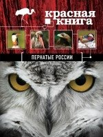 Красная книга. Пернатые России фото книги