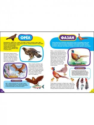 Птицы для самых маленьких. Лучшая энциклопедия для малышей фото книги 5
