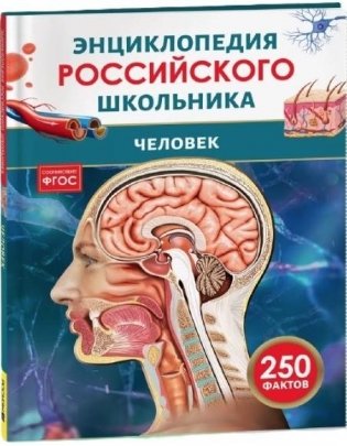 Человек. Энциклопедия российского школьника фото книги