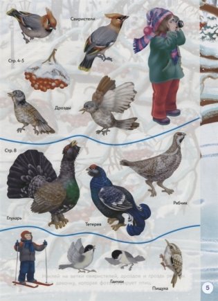 Птички зимой. Дополни картинку фото книги 5