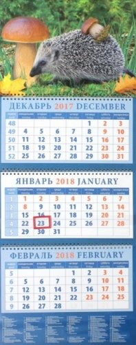 Календарь квартальный на 2018 год "Ежик с грибами" фото книги
