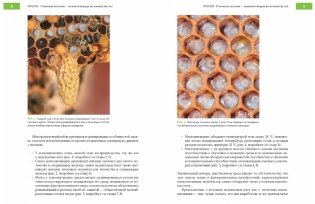 Феномен медоносной пчелы. Биология суперорганизма фото книги 5