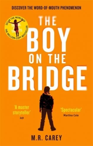 Boy on the Bridge фото книги
