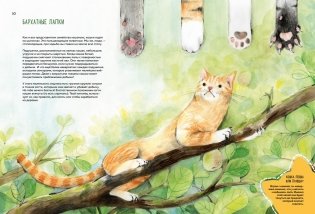 Невероятные коты. Всё, что нужно знать о любимых питомцах фото книги 3