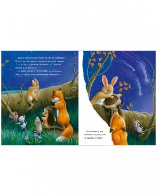 Самая звёздная ночь фото книги 8