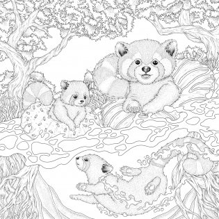 Mythographic Color and Discover: Wild Summer: An Artist's Coloring Book of Mesmerizing Animals фото книги 3