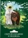 Святой Серафим и медведь. Книжка-раскраска фото книги маленькое 2