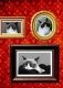 Grumpy Cat. Правила жизни самой сердитой кошки в мире фото книги маленькое 5