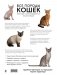 Все породы кошек. Большая иллюстрированная энциклопедия фото книги маленькое 3