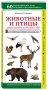 Животные и птицы. Дикие обитатели русского леса фото книги маленькое 3