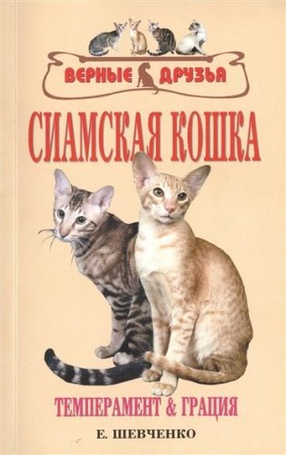 Сиамская кошка фото книги