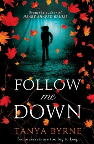 Follow Me Down фото книги